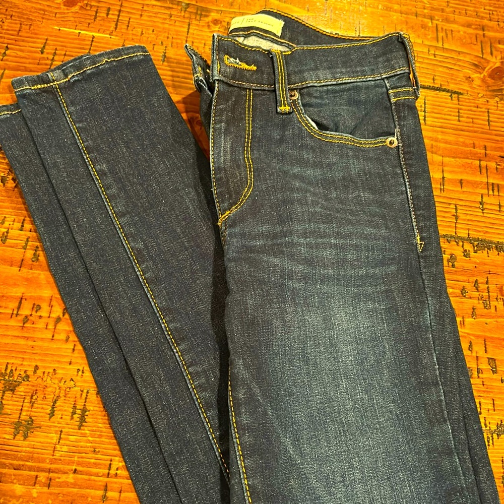 Gap 1969 size 24R True Skinny
